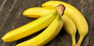The American scandal-ridden banana company Chiquita is to re-establish itself in Panama