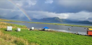 Each image tells a unique story