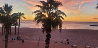 What is solar energy? Definition, how it works, and pros and cons