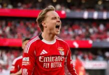 Two Premier League giants throw themselves into the competition for Andreas Schjelderup