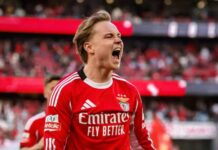Does Schelderup offer a very lucrative contract