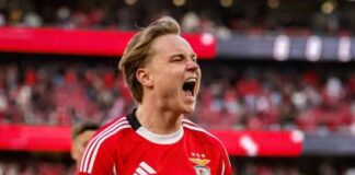 Does Schelderup offer a very lucrative contract