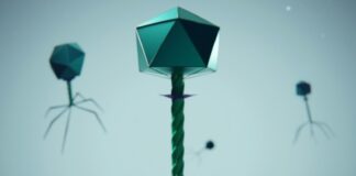 New gene-editing tool could help scientists unlock germicidal viruses